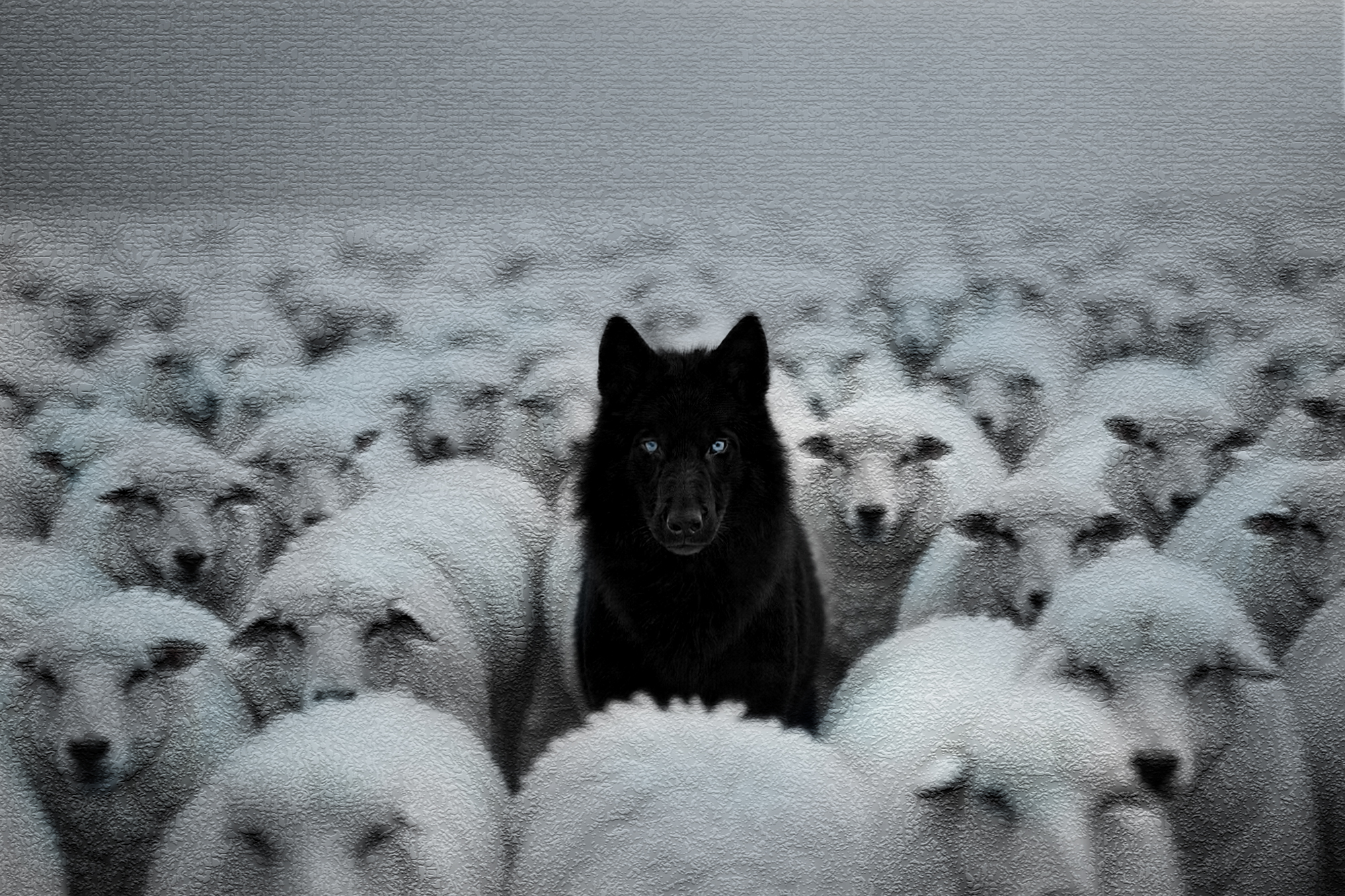 Diseño de Social Media